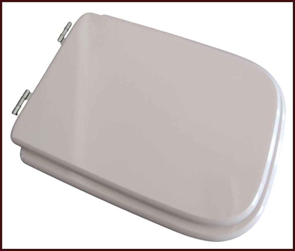 sedile wc copriwater Ideal standard conca rosa asse tavoletta vaso ciambella